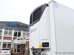 SCHMITZ Carrier Vector HE19 DS Strom Blumen Miete-Rent