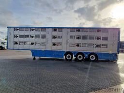 Pezzaioli New 3 stock livestock trailer 95.4M2 - Water & ...