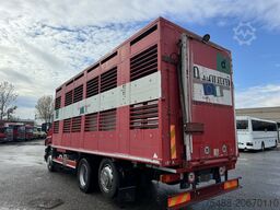 SCANIA 94 D 260 3 ASSI 6X2 TRASPORTO ANIMALI