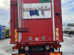 SCANIA 94 D 260 3 ASSI 6X2 TRASPORTO ANIMALI