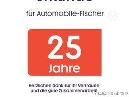 FORD Transit Kasten 310 L2H2 lang+hoch Bott Standheiz