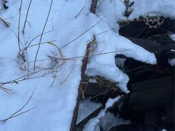 Åkerman H7M wheeled excavator with bucket