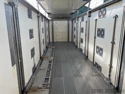 CUPPERS Livestock 1/2/3/4 Type 2