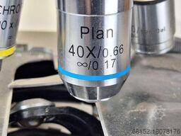 Zeiss Axioskop EL-Einsatz