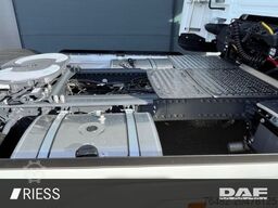 DAF XG 530 FT Alcoa Leder Vollluft Standklima