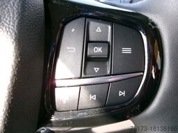 FORD Transit Custom 320L2 Limited 4x4 AT Stndhzg MTW