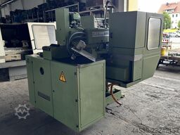  WF 31  DE