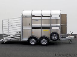 Ifor Williams TA5 | 8x6 | DOPPELSTOCK 241X156X183CM VIEHANHÄNGER | 2X LÜFTUNG