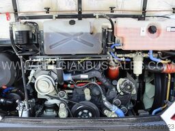 Iveco Evadys 12m / Rear door / NEW!!