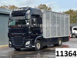 DAF XF 530 4x2 Finkl 2.Stock Viehaufbau