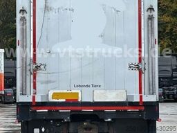 DAF XF 530 4x2 Finkl 2.Stock Viehaufbau