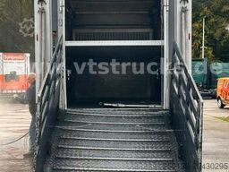 DAF XF 530 4x2 Finkl 2.Stock Viehaufbau