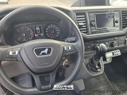 MAN MAN TGE 2021 CELLA 3,60 C.AUTOM