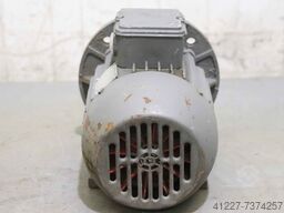 IAEA MA 80-19F165 -4