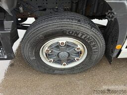 Iveco 190S31 4x2 Stralis Trösch / Swiss-Vehicle