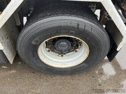 Iveco 190S31 4x2 Stralis Trösch / Swiss-Vehicle