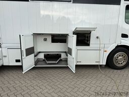 MERCEDES-BENZ ACTROS S  2640 STX  . POP-OUT,  6 Pferde