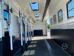 MERCEDES-BENZ ACTROS 1832  TT-XL  7 Pferde 6 Sitze Neufahrzeug