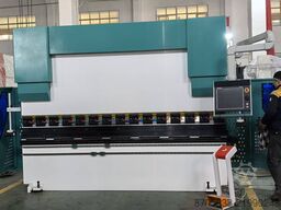 Nanjing Asia Machine Mfg. Co., Ltd. WE67K-110/3200 press brake