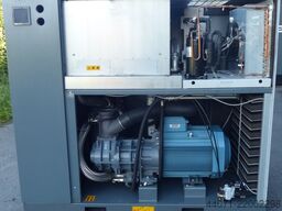 Atlas Copco GA55+FF