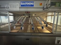 Barnini Leder Lackieranlage/Topcoat line leather