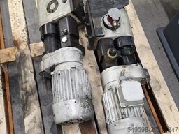 D. Friedrich NE211 022