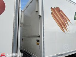 WM MEYER ZAKO 18*Carrier Iceland*Bär LBW*Durchlade*Kamera