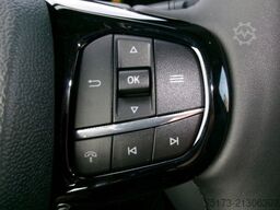 FORD Tourneo Custom Bus Titanium B&O LHZ AHK Kam