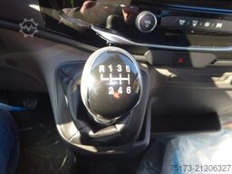 FORD Transit Koffer 350 L4 Einzelk Bi-Xenon Hecktüren