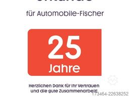 FORD Transit Custom Kasten 280 L1 Holzboden Durchlade
