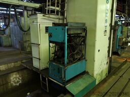 Forest CNF 160