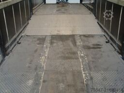 Wiese SA 3-36 CS-S MEGA Rampe 9to.