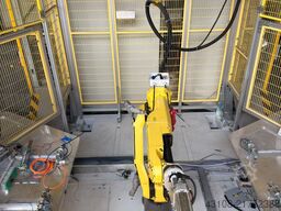 FANUC M-10iA/6L