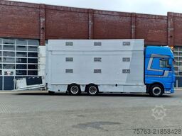 DAF XF 510 6x2 SuperSpaceCab - Livestock Cuppers 3 ...
