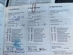 OPEL Movano 3.0 Pferdetr. Klima,AHK,Luftfederung