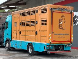 SCANIA S500 4x2 LL 3.Stock Finkl Viehwagen *unfall*