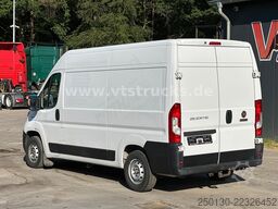 FIAT Ducato Kasten 35 140 L2H2 Sortimo Fahrzeugregal