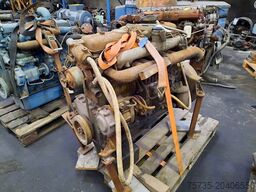DAF 575