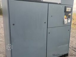 Atlas Copco GA 55