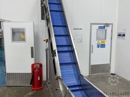 Lynnmore + Raytec Salad grading, washing, drying line