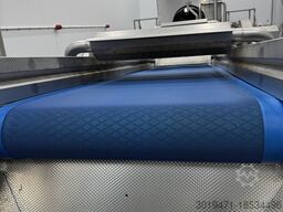 Lynnmore + Raytec Salad grading, washing, drying line