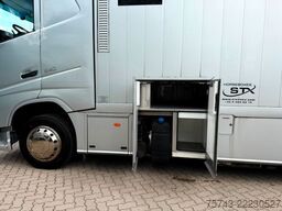 VOLVO FH 540  STX 8 Pferde