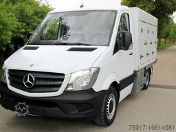 MERCEDES-BENZ 310cdi ColdCar -33°C, 3+3 Euro 5