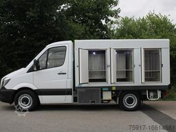 MERCEDES-BENZ 310cdi ColdCar -33°C, 3+3 Euro 5