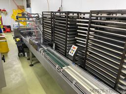 Record Packaging Machinery Scorpion MD SP Flow Wrapper