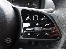 MERCEDES-BENZ Sprinter III Kasten RWD 317 9G-Tronic Lang AHK
