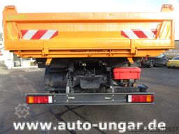 Iveco Trakker 360 Kipper Allrad 4x4 Kran Palfi