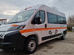 Opel Movano + Fiat Ducato 9 Sitzer Flexiboden