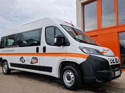 Opel Movano + Fiat Ducato 9 Sitzer Flexiboden