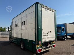 SCANIA 5